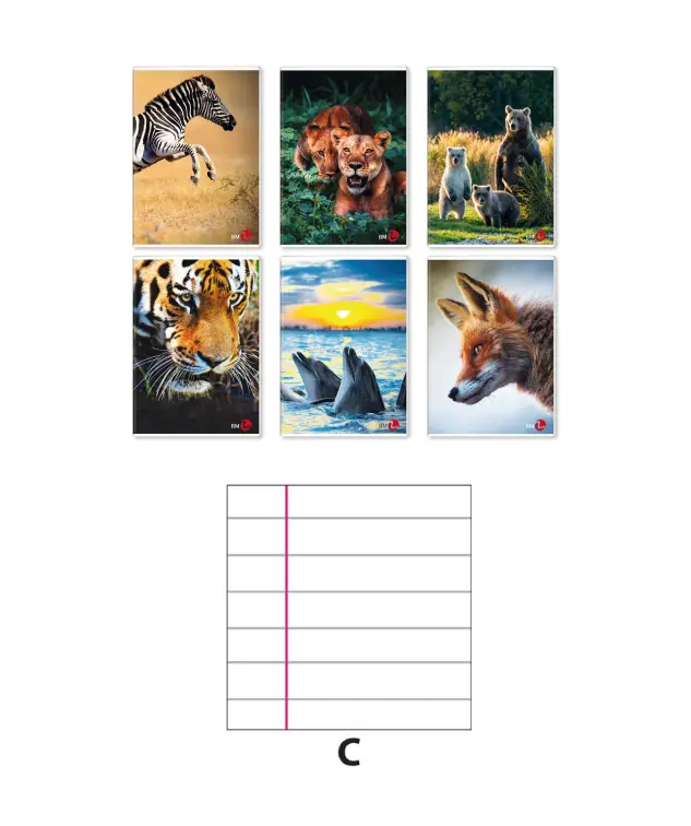 10 PZ Quaderno 80GR Rigatura C Per Quarta Quinta Elementare