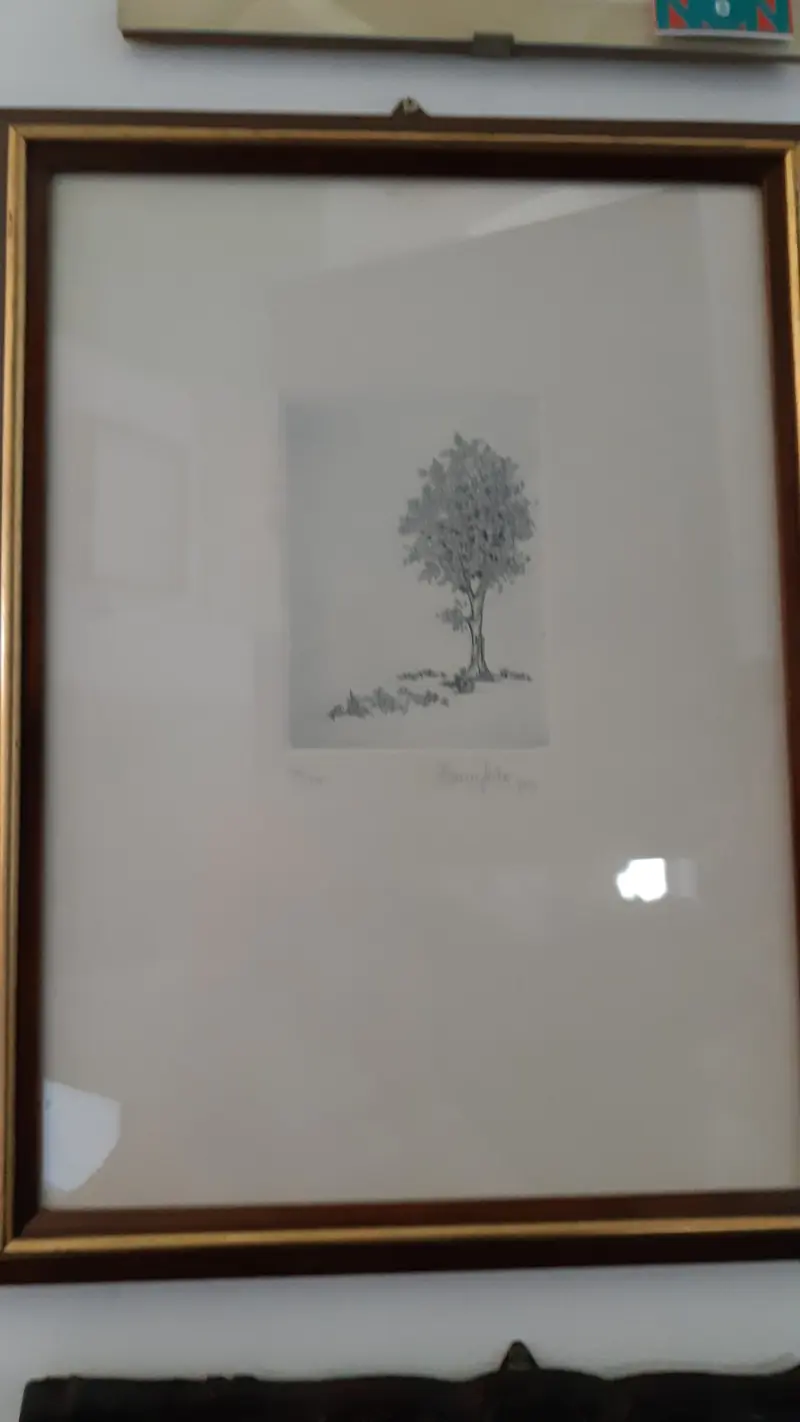 Acquaforte alberi
