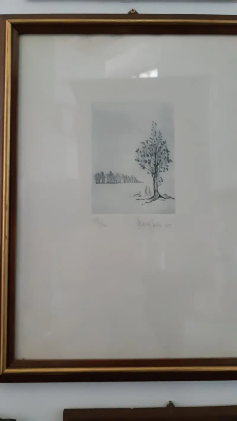 Acquaforte alberi