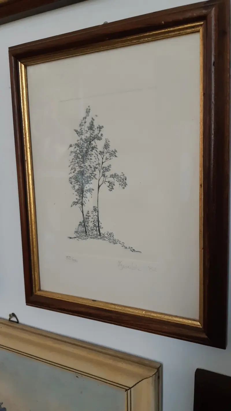 Acquaforte alberi