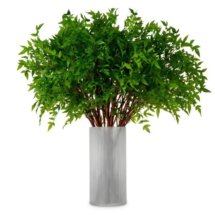 BUNDLE OF TENDER LEAVES 36 PCS
