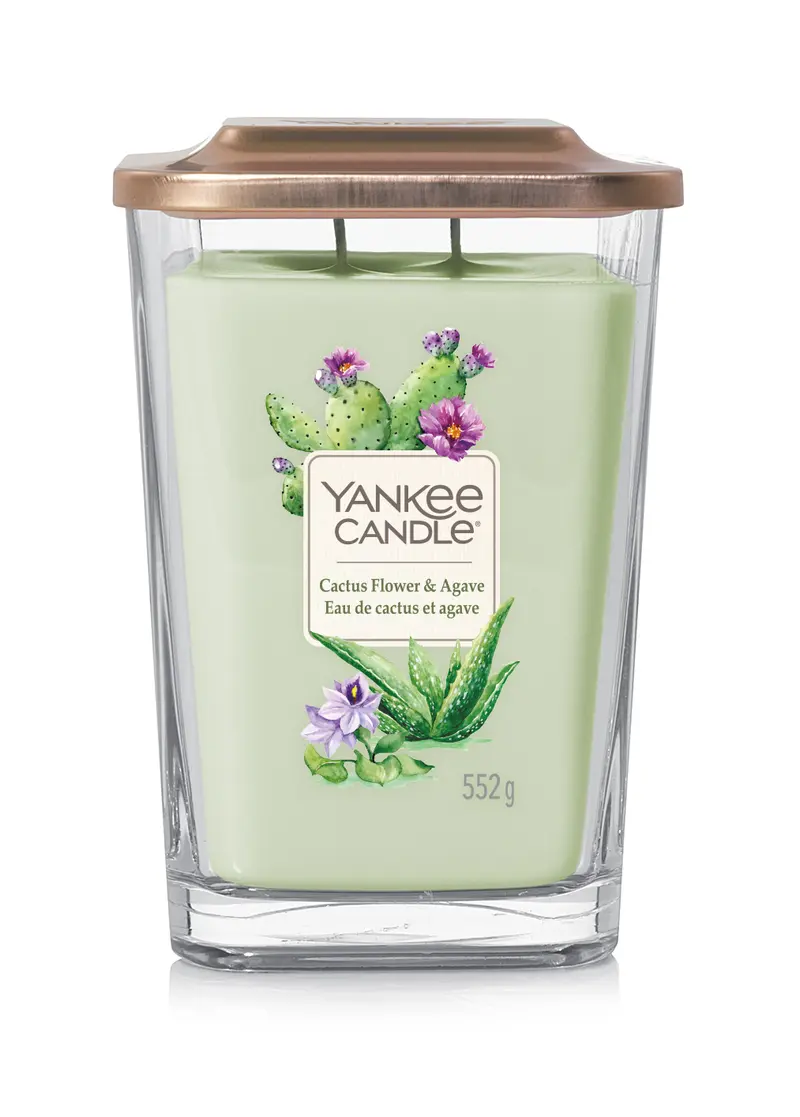CACTUS FLOWER & AGAVE -Yankee Candle- Candela Grande - ELEVATION