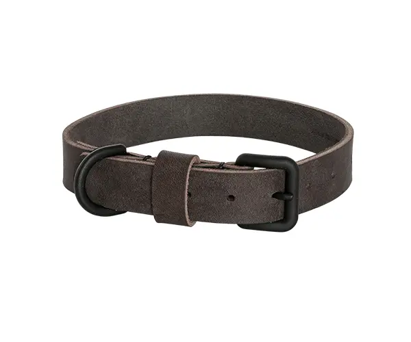 Collare per Cane XL