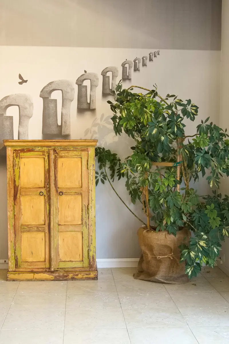 Credenza Indiana , armadietto a 2 ante