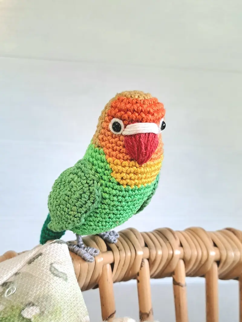 Crochet Fischer's Lovebird plush toy, budgie lover gift, pet loss parrot