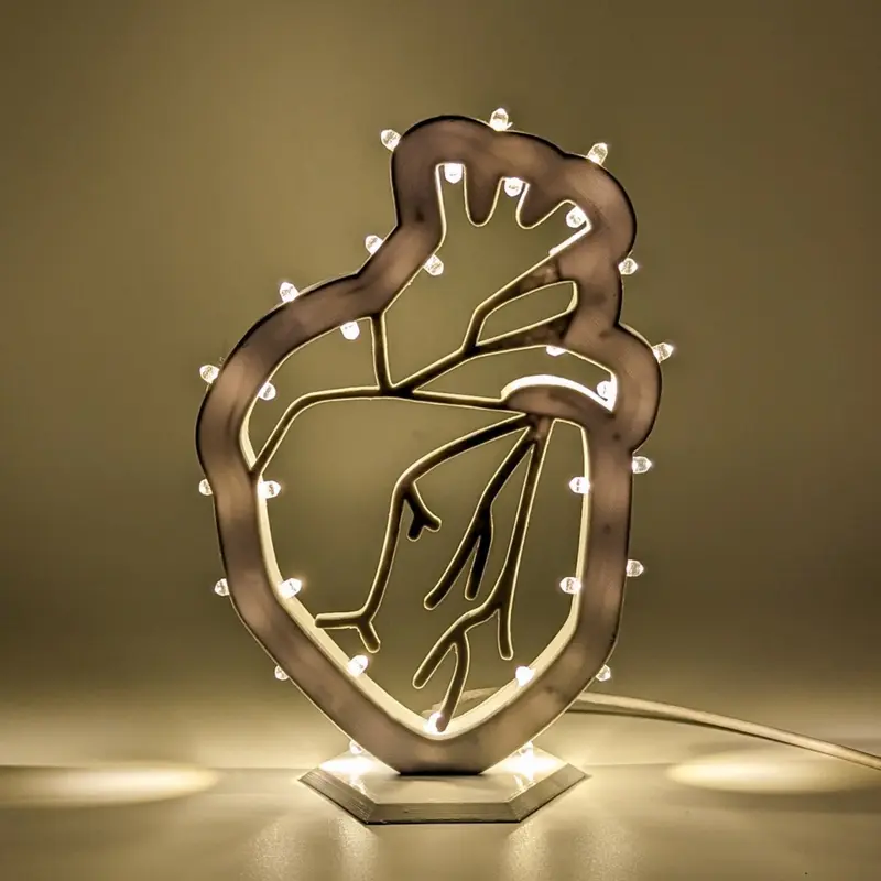 Cuore anatomico
