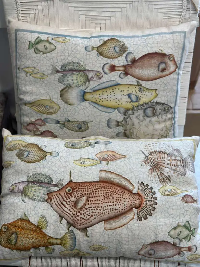 CUSCINO REEF