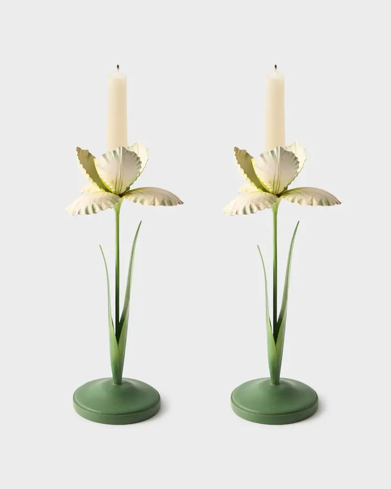 Daffodil Painted Metal Candle Holder, White (Set of 2)