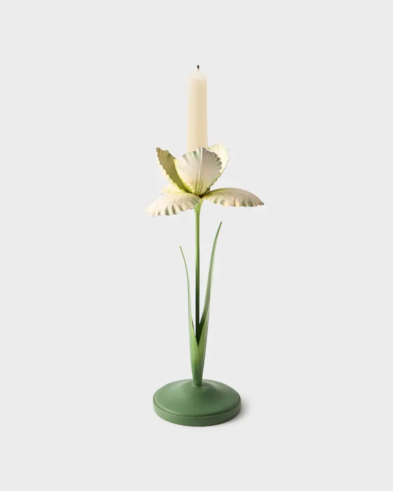 Daffodil Painted Metal Candle Holder, White