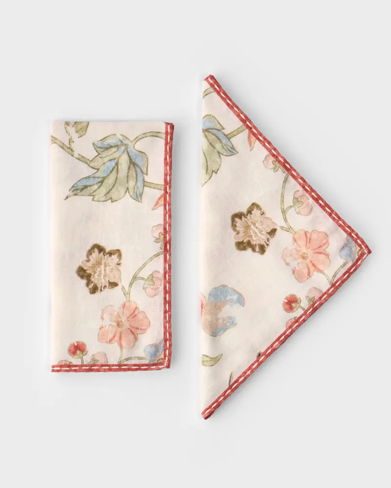 D'Ascoli Devon Napkins (Set of 4)
