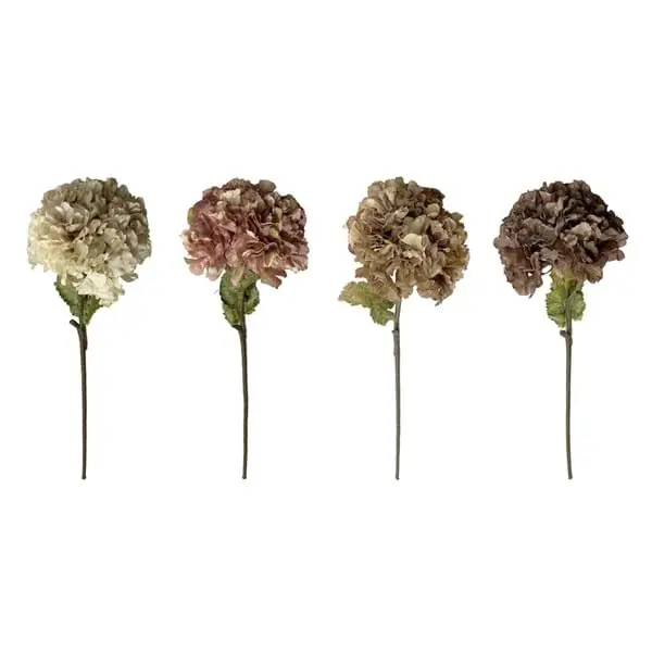 Decoro Floreale Ass.
