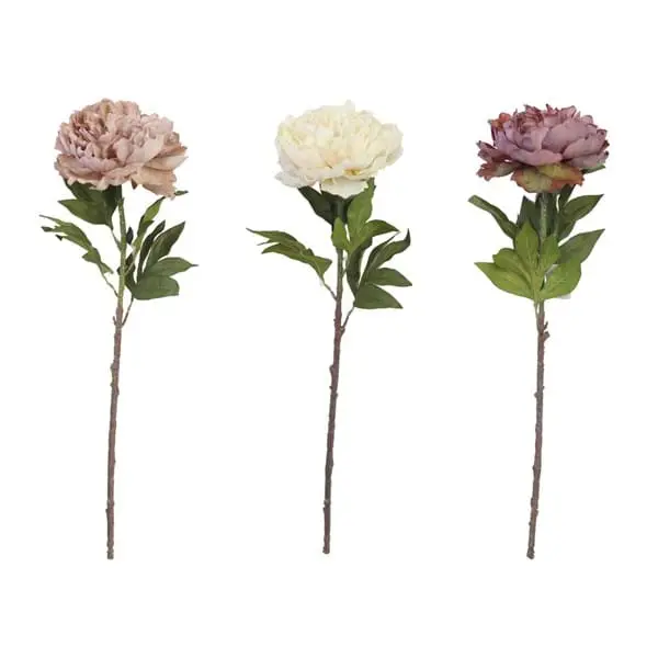 Decoro Floreale Ass.