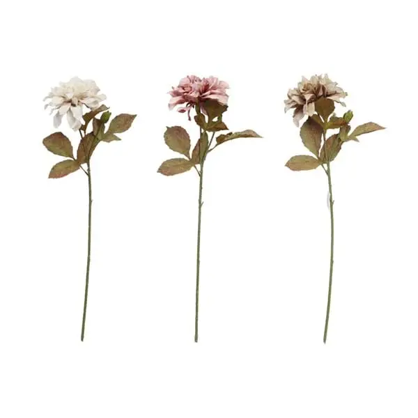 Decoro Floreale Ass.