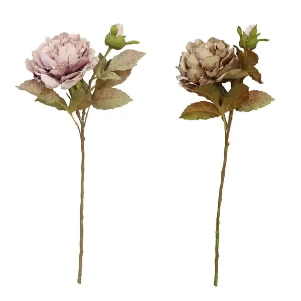 Decoro Floreale Ass.