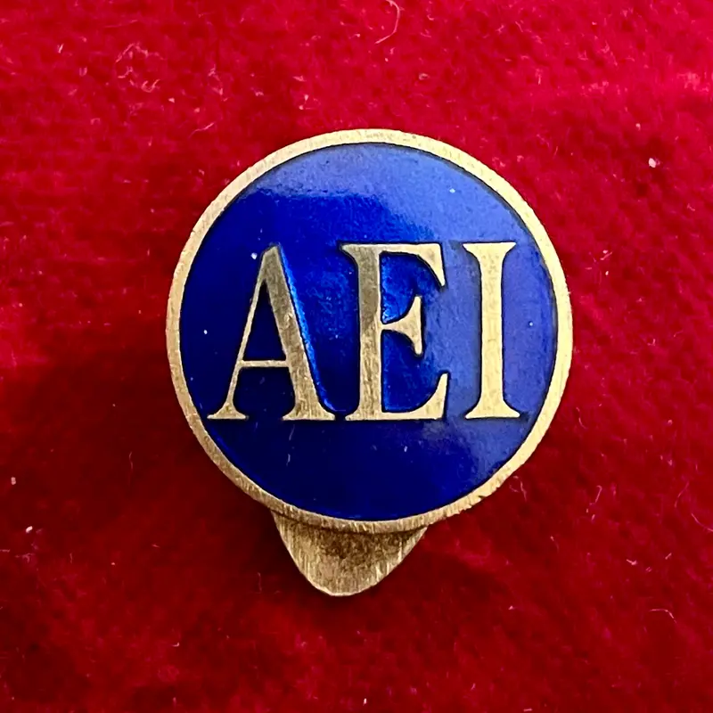 Distintivo AEI smaltato Associazione Elettrotecnica Italiana 1950 ca