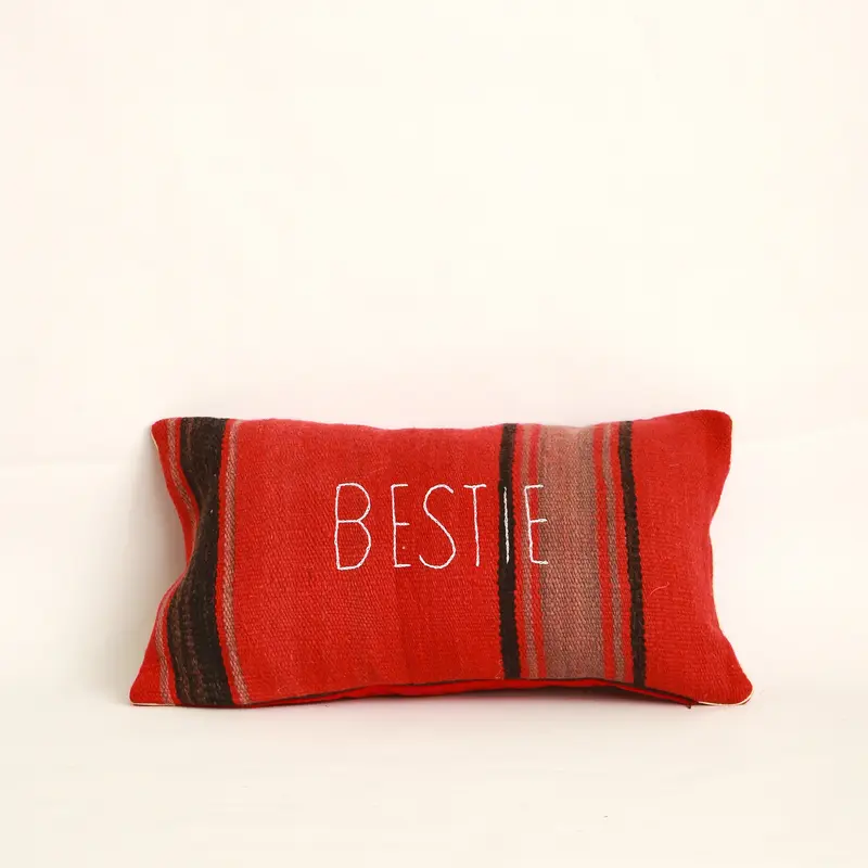 Fodera cuscino ricamata BESTIE, marrone chiaro — lana/velluto, 30x50