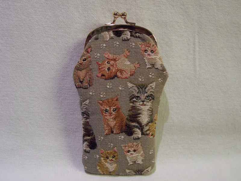 GLASSES CASE  KITTENS