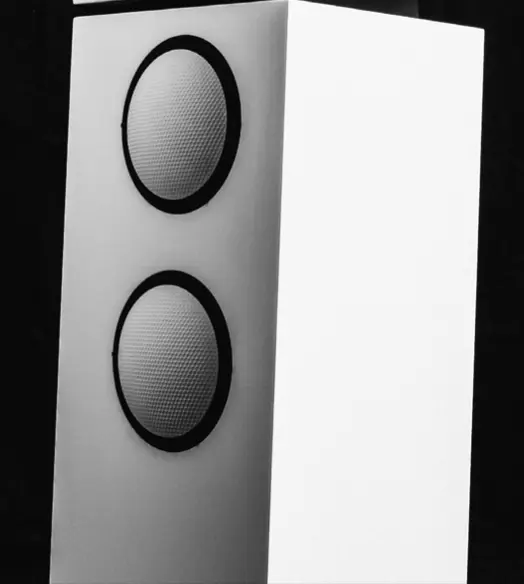 Lyravox Karlsson Subwoofer - Coppia di Subwoofer attivi