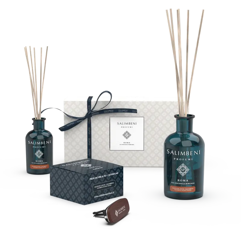 Madeiras Antigas Salimbeni (Perfume para o carro PREMIUM Madeira + Difusor em Stick 100 ml + Difusor em Stick 250 ml + Caixa de Prenda)