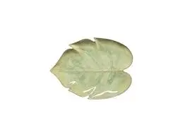 MONSTERA LEAF CM.27 VASSOIO A FOGLIA