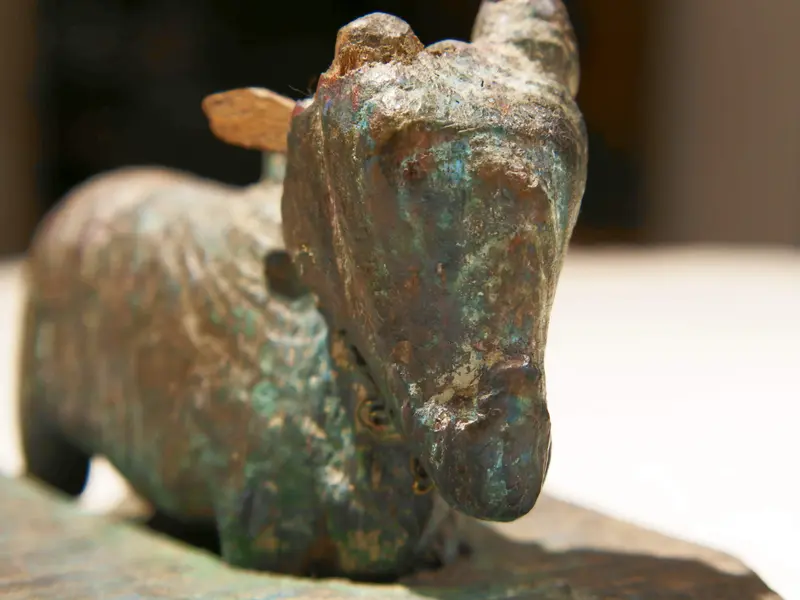 Nandi Indiano 1