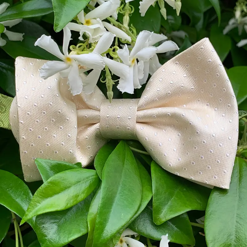 Papillon a pois cerimonia Pura Seta Ecru Cm 7x12 Cod 327