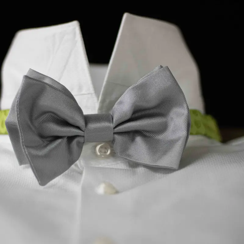 Papillon Cerimonia Pura Seta Grigio cm 7x12 Cod 318