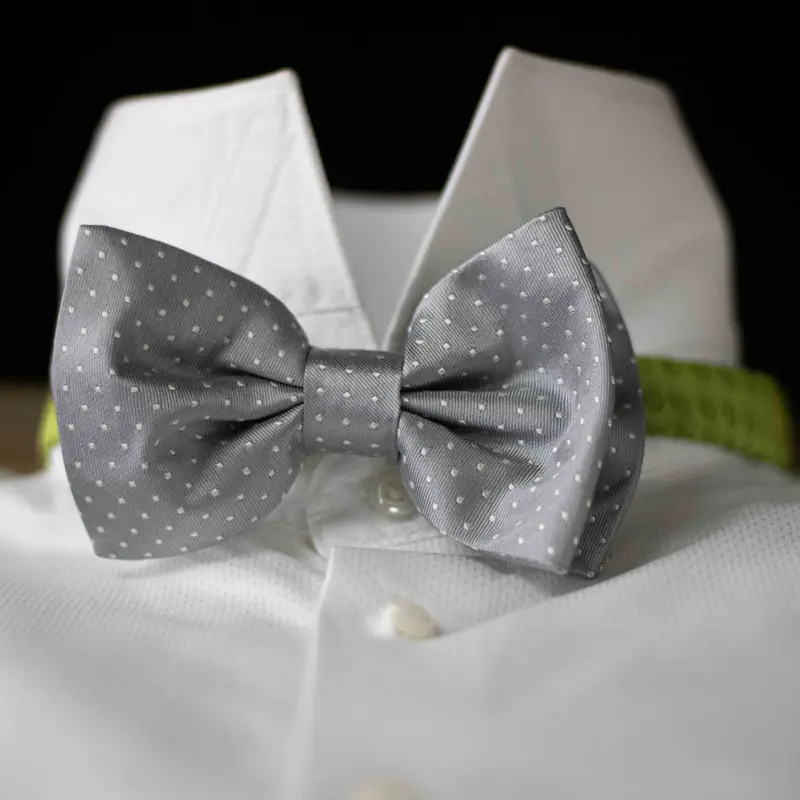 Papillon Grigio a pois pura Seta cm 7x12 Cod 325