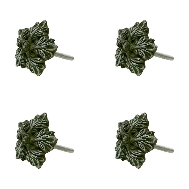 Pomello foglia verde