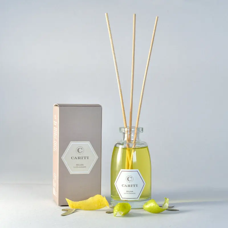 Profumo Ambiente 100 ml