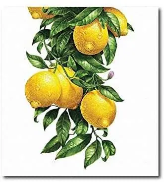 Quadro su tela, 50 x 54 cm. Limoni. Sicilian Art Design.