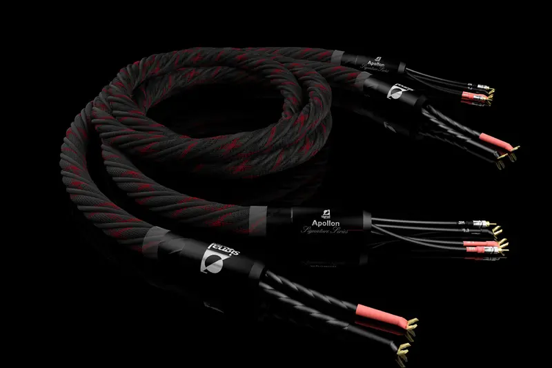 Signal Projects Apollon Speaker Cables - 2m+2m