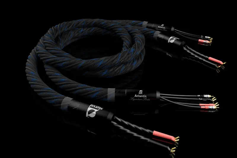 Signal Projects Atlantis Speaker Cables - 2m+2m