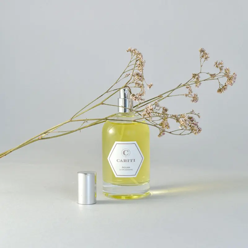 Spray Ambiente 100 ml