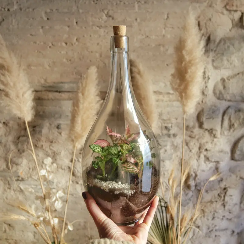 Terrarium Fiasco 2 litri