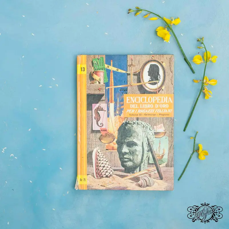 Volume illustrato enciclopedia per ragazzi anni 60 n. 13