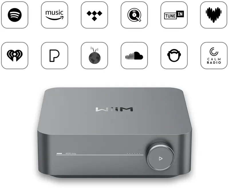 WiiM Amp PRO - Amplificatore / Streamer / DAC - PRONTA CONSEGNA